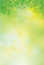 Vector green, bokeh, nature background. Green leaves border. Blurred effect Royalty Free Stock Photo