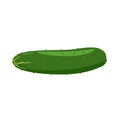 Vector green cucumber. Solid and flat color style design.