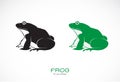 Vector of green frogs and black frog on white background. Amphibian. Animal. Frog Icon or logo. Easy editable layered vector