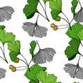 Vector Green ginkgo leaf. Engraved ink art. Seamless background pattern. Fabric wallpaper print texture. Royalty Free Stock Photo