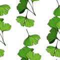 Vector Green ginkgo leaf. Engraved ink art. Seamless background pattern. Fabric wallpaper print texture. Royalty Free Stock Photo