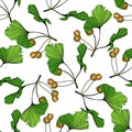 Vector Green ginkgo leaf. Engraved ink art. Seamless background pattern. Fabric wallpaper print texture. Royalty Free Stock Photo