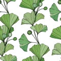 Vector. Green ginkgo leaf. Seamless background pattern. Fabric wallpaper print texture on white background. Royalty Free Stock Photo