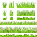 Vector green grass Royalty Free Stock Photo