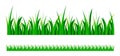 Vector green grass Royalty Free Stock Photo