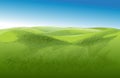 Vector Green grass field on small hills. Meadow, alkali, lye, grassland, pommel, lea, pasturage, farm. Rural scenery