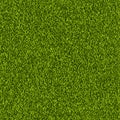 Vector green grass lawn seamless texture. Spring or summer nature background. Field or meadow realistic illustration. Royalty Free Stock Photo