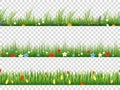 Vector green grass and spring flowers nature border patterns on transparent background