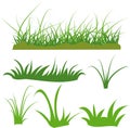 vector grass isolated on white background, vector grass set component Royalty Free Stock Photo