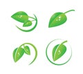Vector green leaf with dew drops icon set, organic symbols, natural, environment, green logo set