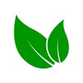 Vector Green Leaf eco friendly leavs icon or logo,