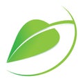 Vector green leaf logo, business logo, organic symbol, natural icon, editable graphic design