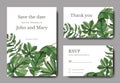 Vector Green leaf plant. Engraved ink art. Palm beach tree leaves. Wedding background card floral decorative border. Royalty Free Stock Photo