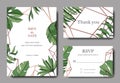 Vector Green leaf plant. Engraved ink art. Palm beach tree leaves. Wedding background card floral decorative border. Royalty Free Stock Photo