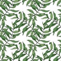 Vector Green leaf plant garden floral foliage. Engraved ink art. Palm beach tree leaves. Seamless background pattern. Royalty Free Stock Photo