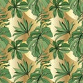 Vector Green leaf plant garden floral foliage. Engraved ink art. Palm beach tree leaves. Seamless background pattern. Royalty Free Stock Photo