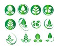 Vector green leaf set round circle, ecology, nature, environment, organic icons, business logo graphics