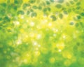 Vector green leaves background. Royalty Free Stock Photo