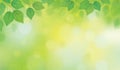 Vector green leaves bokeh background. Royalty Free Stock Photo