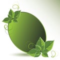 vector green leaves eco design Royalty Free Stock Photo
