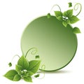 vector green leaves eco design Royalty Free Stock Photo