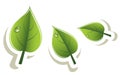 vector green leaves eco design Royalty Free Stock Photo