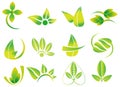Vector green leaves, flowers, ecology icons, health, environment, nature related logos