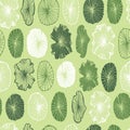 Vector green monochrome lotus lily pads rows of leaves seamless pattern 06. Perfect for fabric, scrapbooking and Royalty Free Stock Photo