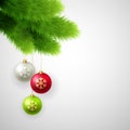 Vector Green Pine branches with white, red and Royalty Free Stock Photo