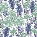 Vector green and puple grapes seamless pattern print background. Royalty Free Stock Photo