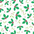Vector green, red holly berry and mistletoe holiday seamless pattern background. Great for winter themed packaging