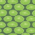 Vector green rows of water lily pads leaves repeat pattern with stripes. Suitable for textile, gift wrap and wallpaper. Royalty Free Stock Photo