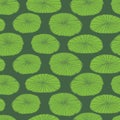Vector green rows of water lily pads leaves repeat pattern. Suitable for textile, gift wrap and wallpaper. Royalty Free Stock Photo