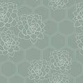 Vector green succulent flower hexagon background seamless pattern print