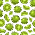 Vector Green Tomato seamless pattern