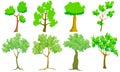 vector set green trees in solid color isolated on white background Royalty Free Stock Photo