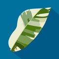 Vector of green tropical heliconia leaves on blue background. hand drawn.