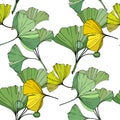 Vector. Green and yellow ginkgo leaf. Seamless background pattern. Fabric wallpaper print texture on white background. Royalty Free Stock Photo