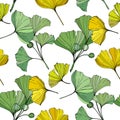 Vector. Green and yellow ginkgo leaf. Seamless background pattern. Fabric wallpaper print texture on white background. Royalty Free Stock Photo