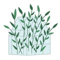 Vector greenhouse with green plants. Flat hot house illustration isolated on white background. Side view greenroom picture. Spring Royalty Free Stock Photo