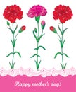 Vector greeting card for Mother day with three red Carnation or Clove flowers and decorative lace in white and pink. Royalty Free Stock Photo