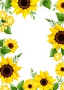 Greeting or invitation card design with sunflowers. Vector illustration