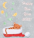 Vector greeting new years card with cute cartoon tiger sleeping in Santa Claus hat with sweet dreams on snowy december day