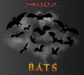 Vector group of bats behind the smoke clouds isolated on the dark transpatent background.