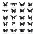 Vector group of black butterfly on white background. Butterfly. Royalty Free Stock Photo