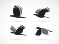 Vector group of black crow flying on white background. Birds. Animals. Easy editable layered vectors illustration