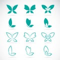 Vector group of butterfly