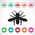 Vector group of insects on white background.