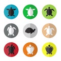 Vector group of turtle in the circle Royalty Free Stock Photo