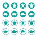 Vector group of turtle in the circle Royalty Free Stock Photo